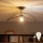 Brilagi - LED plafonski luster CERIA WIRE 1xE27/60W/230V 40x56 cm crna/brončana