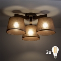 BRILAGI - LED plafonski luster LATTE 3xE27/15W/230V borovina/smeđa