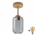 BRILAGI - LED plafonski luster RETRO GLASS 1xE27/60W/230V Ø 14 cm bež/dimna siva