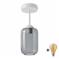 BRILAGI - LED plafonski luster RETRO GLASS 1xE27/60W/230V Ø 14 cm bijela/dimna siva
