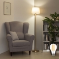 Brilagi - LED podna svjetiljka CERIA 1xE27/20W/230V promjer 30 cm bež/zlatna