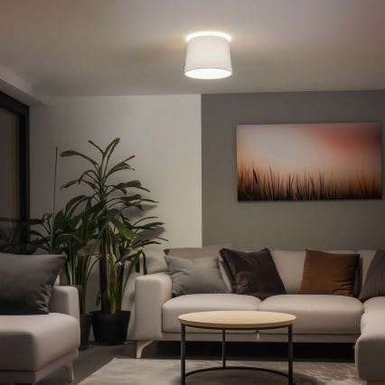 Brilagi - LED površinski montiran luster CERIA 1xE27/40W/230V pr. 30 cm bijela