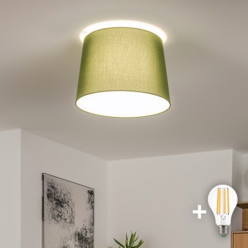 Brilagi - LED površinski montirana stropna svjetiljka CERIA 1xE27/40W/230V Ø 30 cm zelena