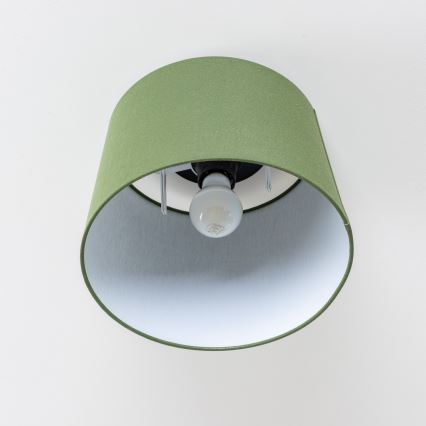 Brilagi - LED površinski montirana stropna svjetiljka CERIA 1xE27/40W/230V Ø 30 cm zelena