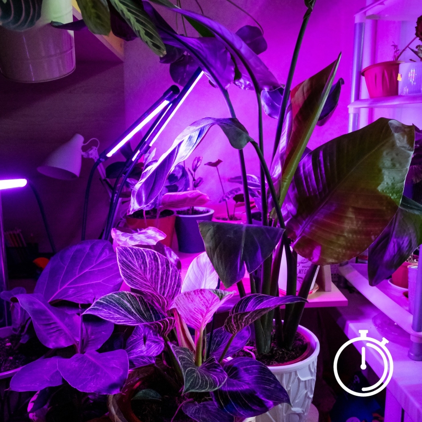 Brilagi - LED Prigušiva fleksibilna stolna lampa s kopčom za uzgoj biljaka VITABLOOM 3xLED/10W/230V crna
