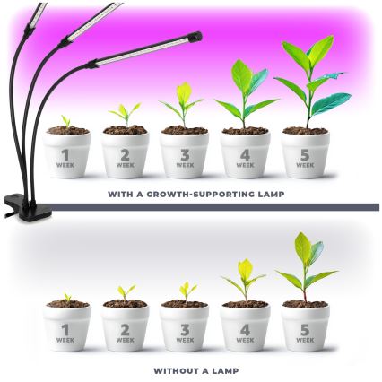 Brilagi - LED Prigušiva fleksibilna stolna lampa s kopčom za uzgoj biljaka VITABLOOM 3xLED/10W/230V crna