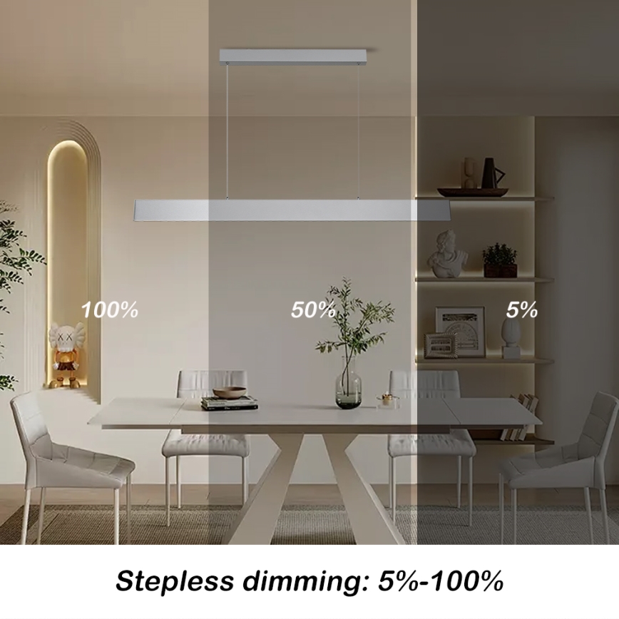 Brilagi - LED Prigušivi luster na sajli SLIMLINE LED/40W/230V 3000-6000K srebrna + daljinski upravljač