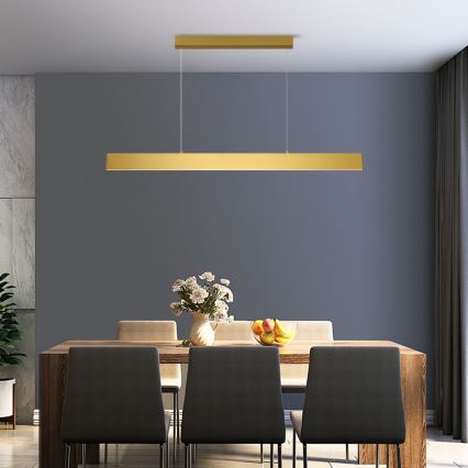 Brilagi - LED Prigušivi luster na sajli SLIMLINE LED/40W/230V 3000-6000K zlatna + daljinski upravljač