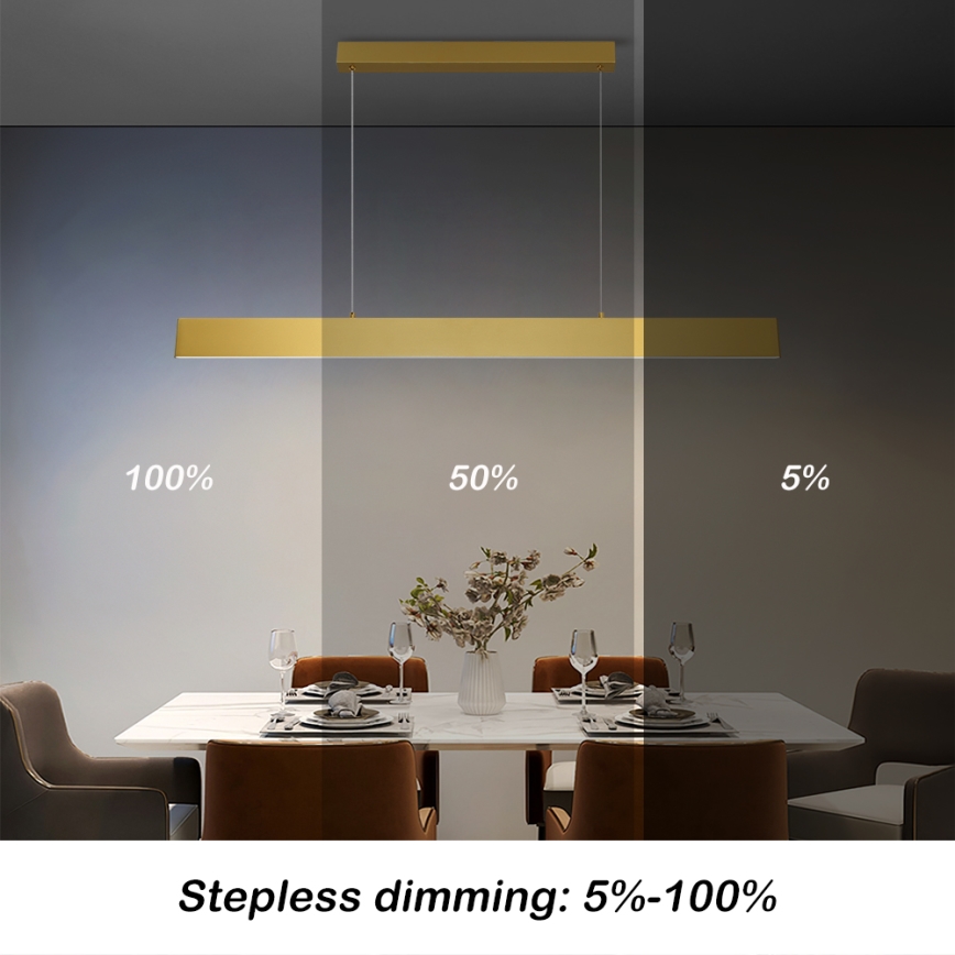 Brilagi - LED Prigušivi luster na sajli SLIMLINE LED/40W/230V 3000-6000K zlatna + daljinski upravljač