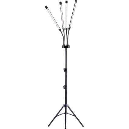 Brilagi - LED Prigušiva fleksibilna podna lampa za uzgoj biljaka VITABLOOM 4xLED/7,5W/230V crna