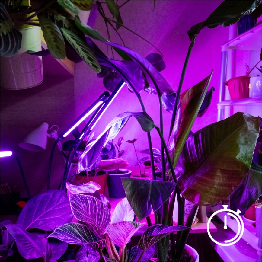 Brilagi - LED Prigušiva fleksibilna podna lampa za uzgoj biljaka VITABLOOM 4xLED/7,5W/230V crna