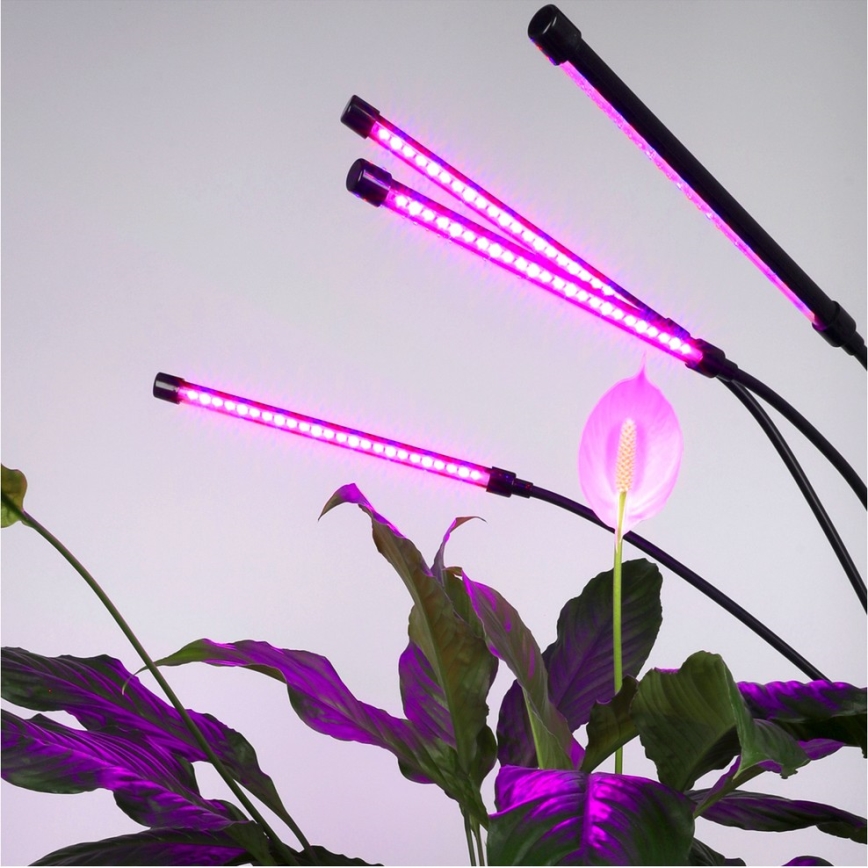 Brilagi - LED Prigušiva fleksibilna podna lampa za uzgoj biljaka VITABLOOM 4xLED/7,5W/230V crna
