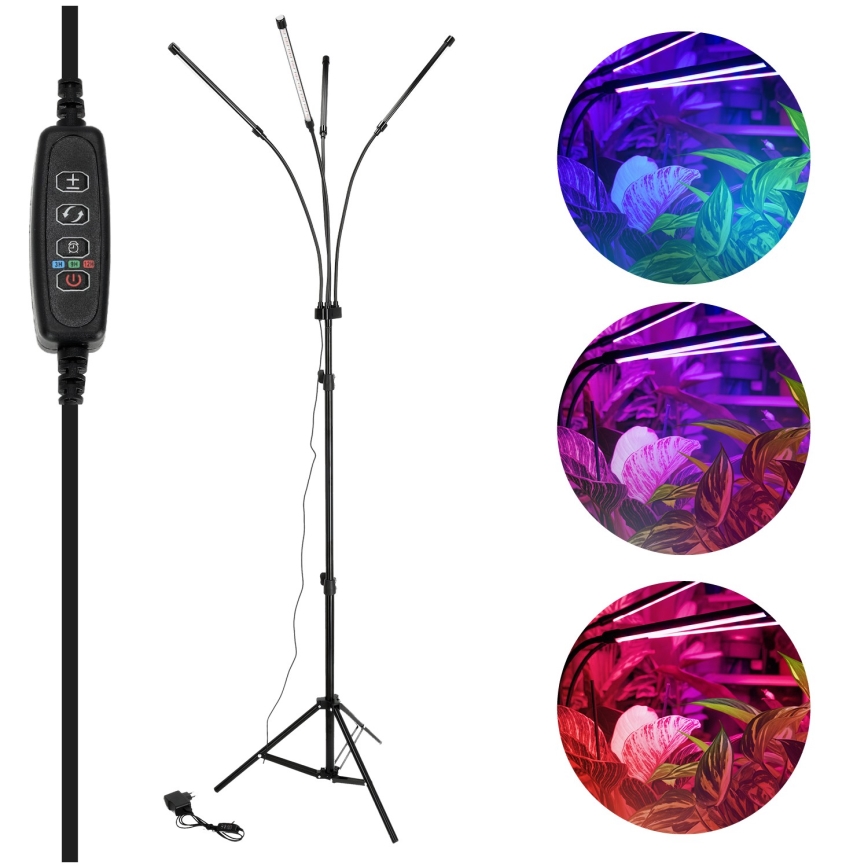 Brilagi - LED Prigušiva fleksibilna podna lampa za uzgoj biljaka VITABLOOM 4xLED/7,5W/230V crna