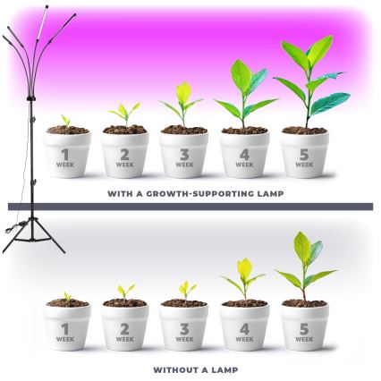 Brilagi - LED Prigušiva fleksibilna podna lampa za uzgoj biljaka VITABLOOM 4xLED/7,5W/230V crna