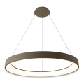 BRILAGI - LED prigušiv luster na sajli FALCON II LED/108W/230V 3000-6500K Ø 80 cm bež + daljinski upravljač