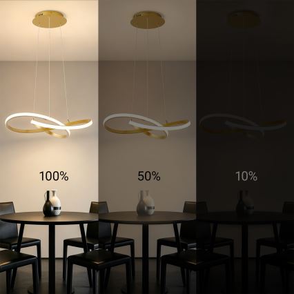 Brilagi - LED luster s prigušivanjem na sajli INFINITY LED/55W/230V 3000-6000K 50x50 cm zlatni + daljinski upravljač