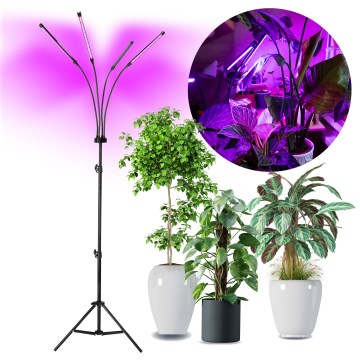 Brilagi - LED Prigušiva fleksibilna podna lampa za uzgoj biljaka VITABLOOM 4xLED/7,5W/230V crna