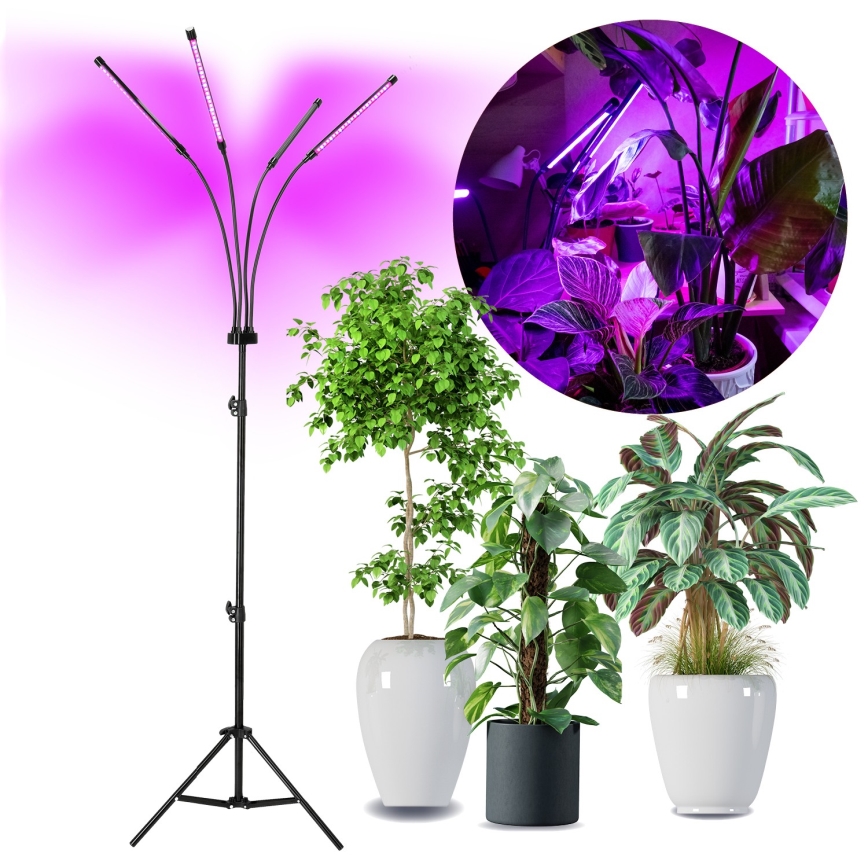 Brilagi - LED Prigušiva fleksibilna podna lampa za uzgoj biljaka VITABLOOM 4xLED/7,5W/230V crna