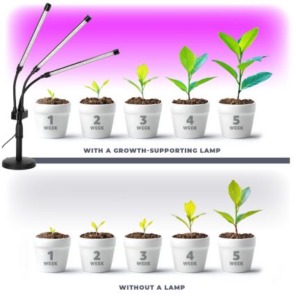Brilagi - LED Prigušiva fleksibilna stolna lampa za uzgoj biljaka VITABLOOM 3xLED/10W/230V crna
