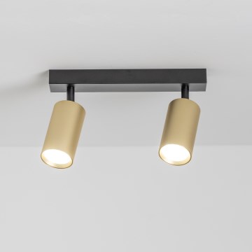 Brilagi - LED prigušiva spot svjetiljka SELE GOLDEN 2xGU10/6,5W/230V 2700-6500K crna/zlatna
