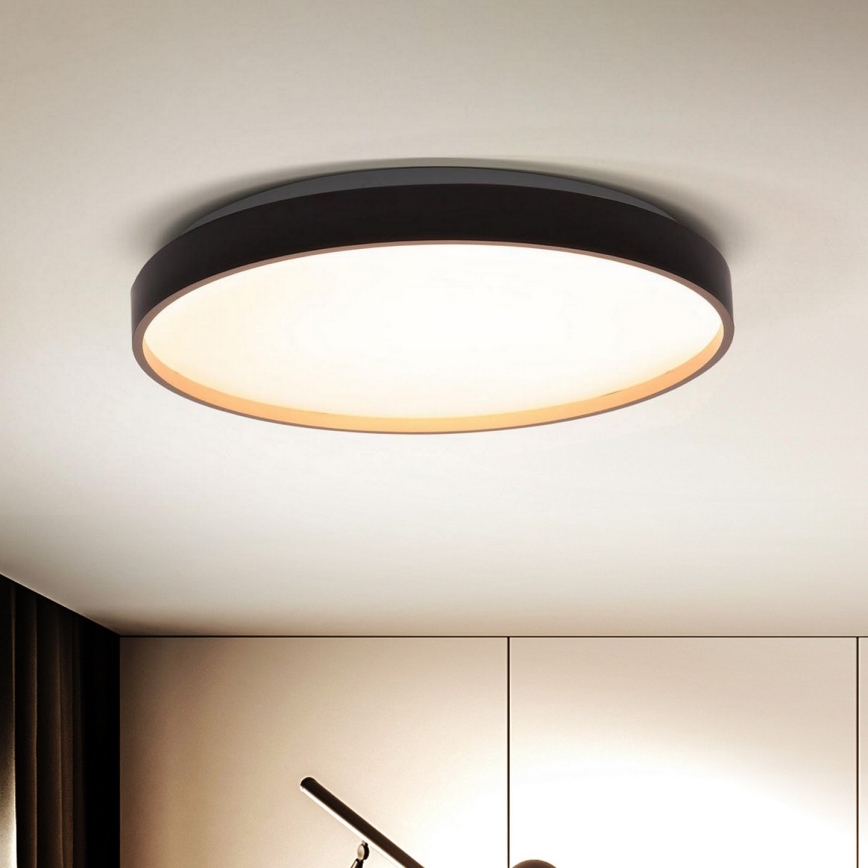 Brilagi - LED Prigušiva stropna svjetiljka CALA LED/48W/230V 3000-6500K pr. 38 cm + daljinski upravljač