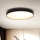 Brilagi - LED Prigušiva stropna svjetiljka CALA LED/48W/230V 3000-6500K pr. 38 cm + daljinski upravljač