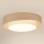Brilagi - LED Prigušiva stropna svjetiljka DOVER SHINE LED/24W/230V 3000/4000/6500K siva/krem + daljinski upravljač