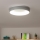 Brilagi - LED Prigušiva stropna svjetiljka FALCON LED/40W/230V 3000-6500K siva + daljinski upravljač