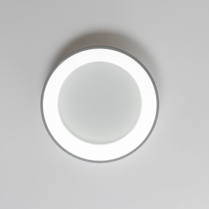 Brilagi - LED Prigušiva stropna svjetiljka FALCON LED/80W/230V 3000-6500K pr. 60 cm siva + daljinski upravljač