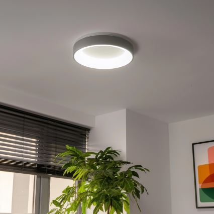 Brilagi - LED Prigušiva stropna svjetiljka FALCON LED/40W/230V 3000-6500K siva + daljinski upravljač