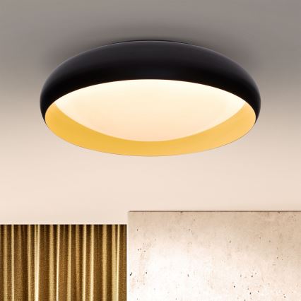 Brilagi - LED Prigušiva stropna svjetiljka LIVIA LED/48W/230V 3000-6500K pr. 42 cm + daljinski upravljač