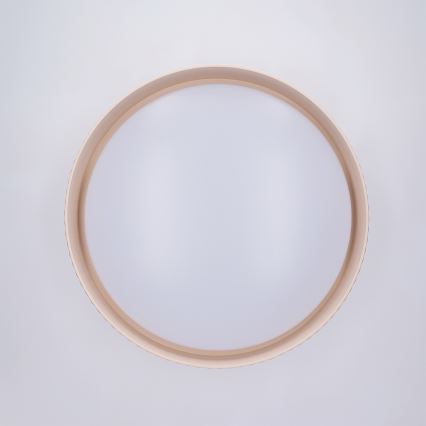Brilagi - LED stropna svjetiljka LUCIA s mogućnošću prigušivanja LED/48W/230V 3000-6500K Ø 41 cm bež + daljinsko upravljanje