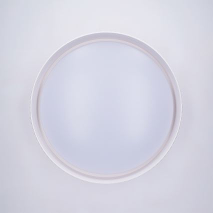 Brilagi - LED stropna svjetiljka LUCIA s prigušivanjem LED/48W/230V 3000-6500K promjer 41 cm bijela + daljinski upravljač