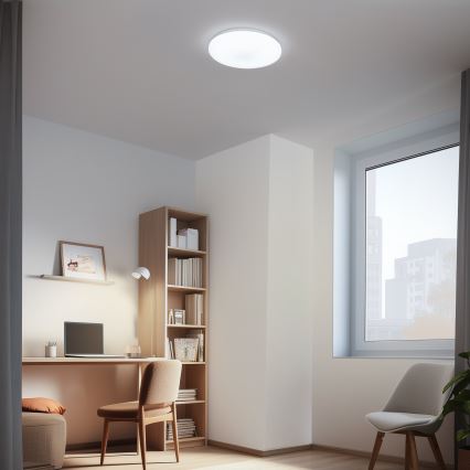 Brilagi - LED Prigušiva stropna svjetiljka OPAL LED/24W/230V  3000/4000/6500K + daljinski upravljač