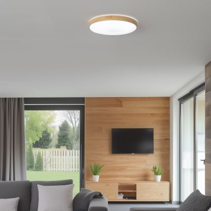 Brilagi - LED Prigušiva stropna svjetiljka PINE LED/24W/230V 3000-6500K + daljinski upravljač