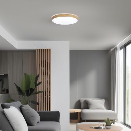 Brilagi - LED Prigušiva stropna svjetiljka PINE LED/24W/230V 3000-6500K + daljinski upravljač