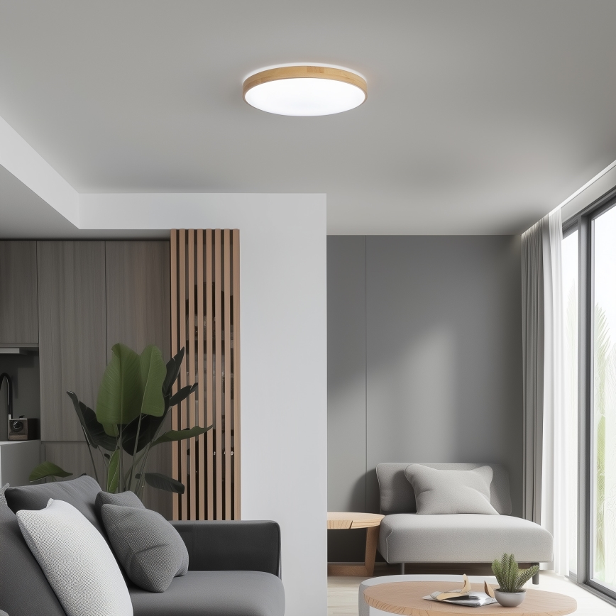 Brilagi - LED Prigušiva stropna svjetiljka PINE LED/24W/230V 3000-6500K + daljinski upravljač