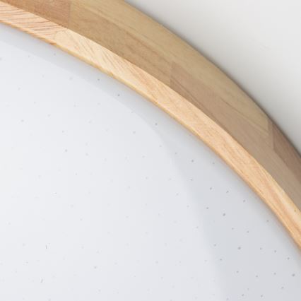 Brilagi - LED Prigušiva stropna svjetiljka PINE LED/24W/230V 3000-6500K + daljinski upravljač