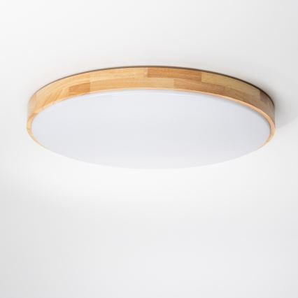 Brilagi - LED Prigušiva stropna svjetiljka PINE LED/60W/230V 3000-6500K + daljinski upravljač