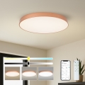 Brilagi - LED prigušiva stropna svjetiljka POOL SMART LED/100W/230V 3000-6000K Ø 80 cm Wi-Fi Tuya brončana + daljinski upravljač