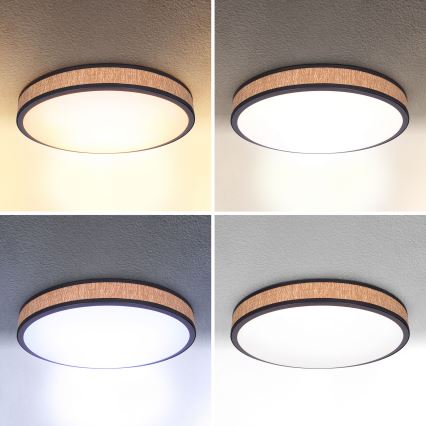 Brilagi - LED Prigušiva stropna svjetiljka ROSA LED/48W/230V 3000-6500K pr. 38 cm + daljinski upravljač