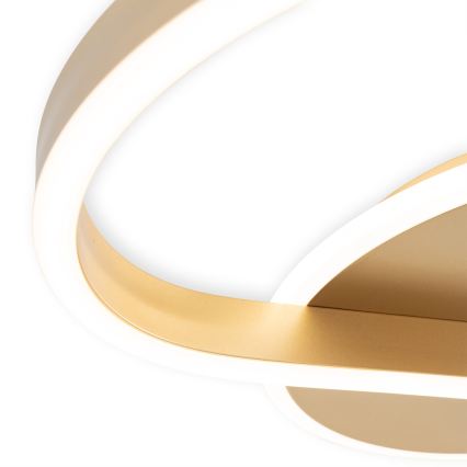 Brilagi - prigušiva stropna LED svjetiljka SPIRAL LED/56W/230V pr. 50 cm 3000/4000/6000K + daljinski upravljač