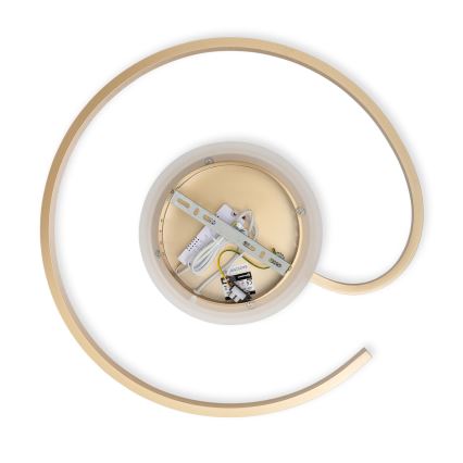 Brilagi - prigušiva stropna LED svjetiljka SPIRAL LED/56W/230V pr. 50 cm 3000/4000/6000K + daljinski upravljač