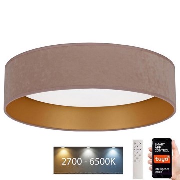 Brilagi - LED Prigušiva stropna svjetiljka VELVET SMART LED/24W/230V pr. 45 cm 2700-6500K Wi-Fi Tuya bež/zlatna + daljinski upravljač