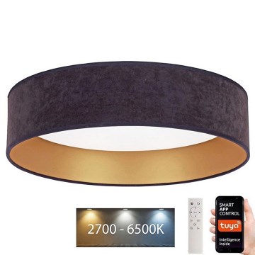 Brilagi - LED Prigušiva stropna svjetiljka VELVET SMART LED/24W/230V pr. 45 cm 2700-6500K Wi-Fi Tuya siva/zlatna + daljinski upravljač