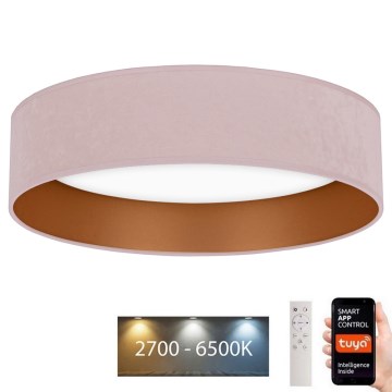 Brilagi - LED Prigušiva stropna svjetiljka VELVET SMART LED/36W/230V pr. 55 cm 2700-6500K Wi-Fi Tuya ružičasta/zlatna + daljinski upravljač