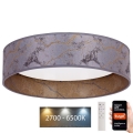 Brilagi - LED Prigušiva stropna svjetiljka VELVET SMART LED/36W/230V pr. 55 cm 2700-6500K Wi-Fi Tuya siva/zlatna + daljinski upravljač