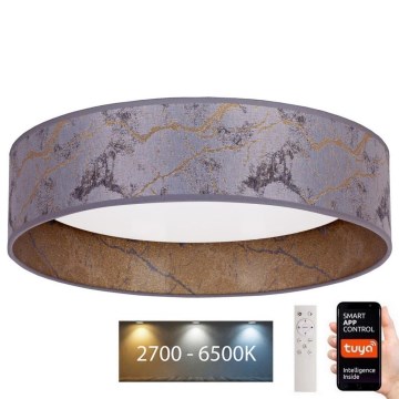 Brilagi - LED Prigušiva stropna svjetiljka VELVET SMART LED/36W/230V pr. 55 cm 2700-6500K Wi-Fi Tuya siva/zlatna + daljinski upravljač