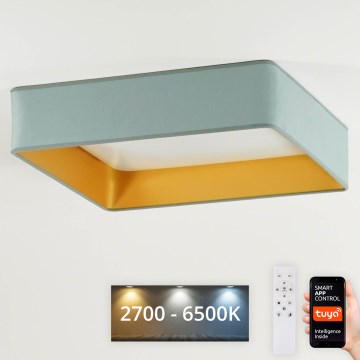 Brilagi - LED Prigušiva stropna svjetiljka VELVET SQUARE SMART LED/36W/230V 2700-6500K Wi-Fi Tuya + daljinski upravljač menta