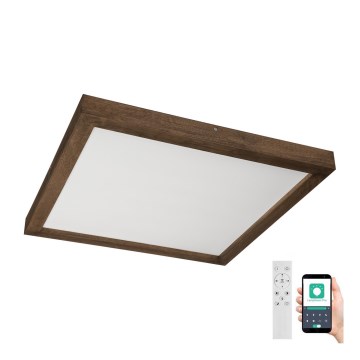 Brilagi - LED Prigušiva stropna svjetiljka za kupaonicu WOODY FRAME LED/50W/230V hrast 60x60 cm 3000-6000K IP44 + daljinski upravljač